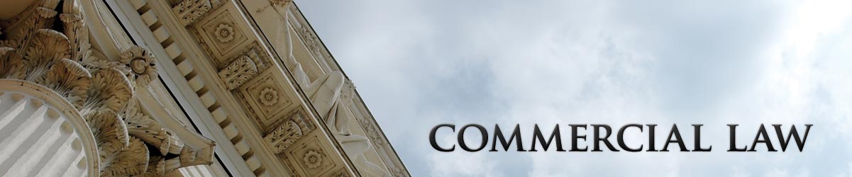 Commercial law  - Danija Budimir Attorney at Law
